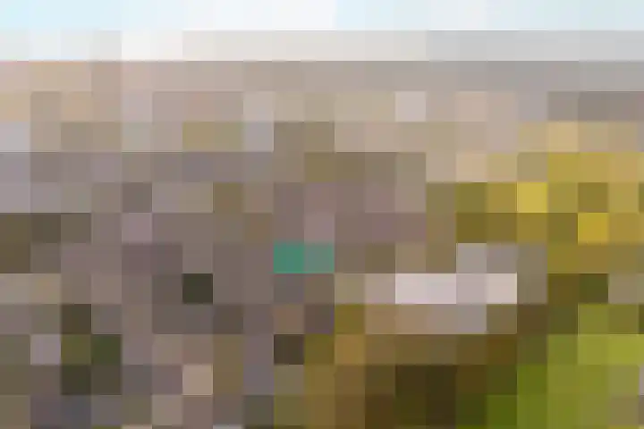 Singel 1 Blaricum thumbnail 14