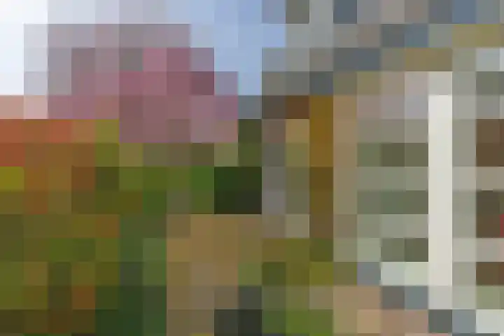 Singel 1 Blaricum thumbnail 14