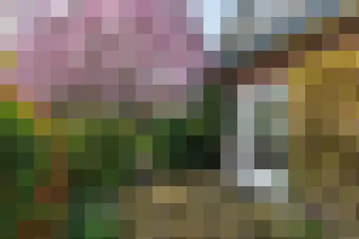 Singel 1 Blaricum thumbnail 15