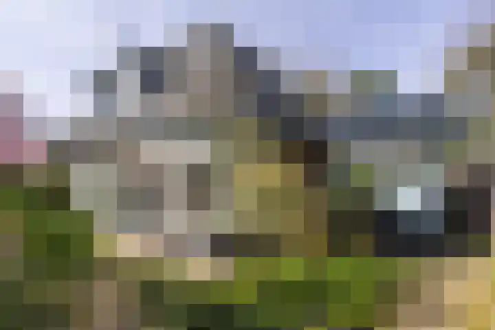 Singel 1 Blaricum thumbnail 16