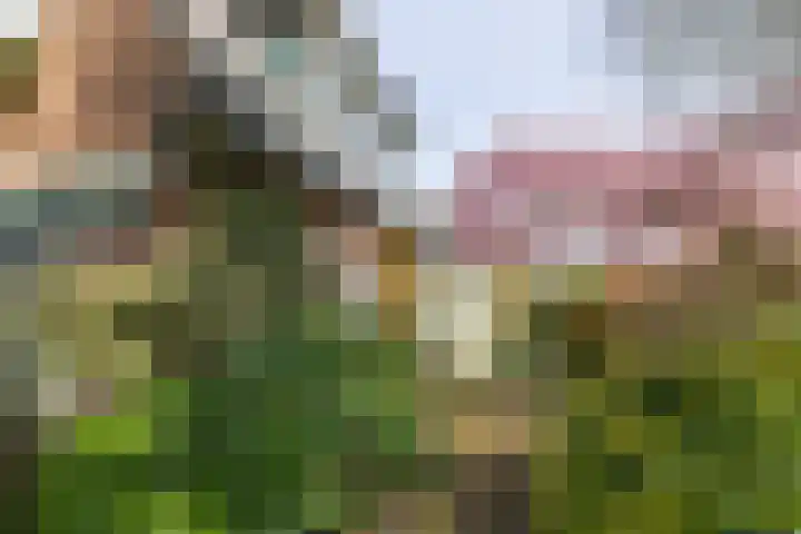 Singel 1 Blaricum thumbnail 17