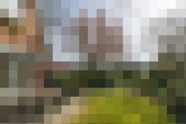 Singel 1 Blaricum foto 2