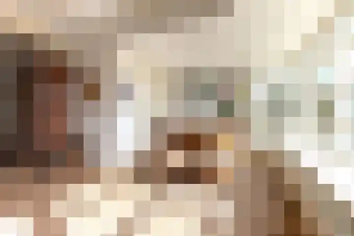 Singel 1 Blaricum thumbnail 22