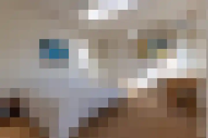 Singel 1 Blaricum thumbnail 25