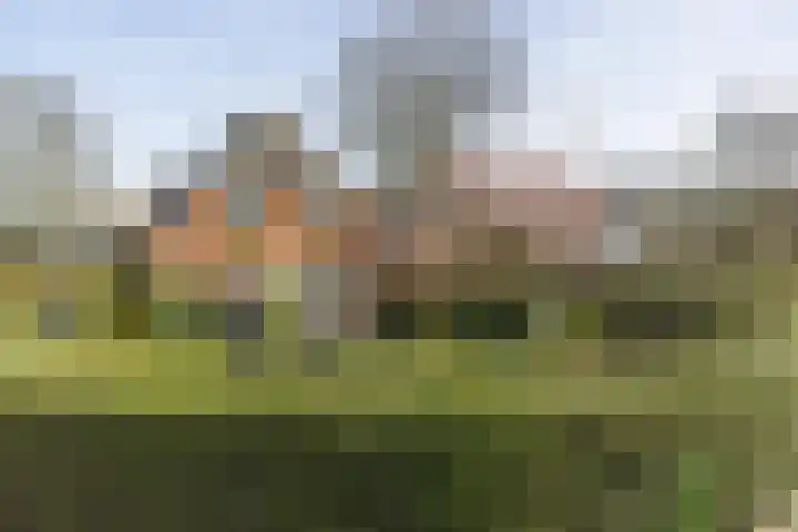 Singel 1 Blaricum foto 3