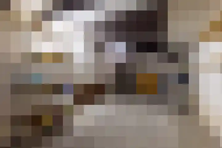 Singel 1 Blaricum thumbnail 39
