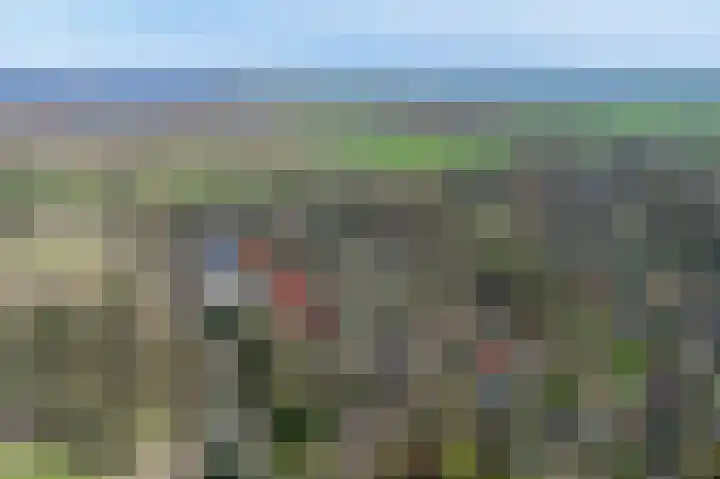 Singel 1 Blaricum thumbnail 4