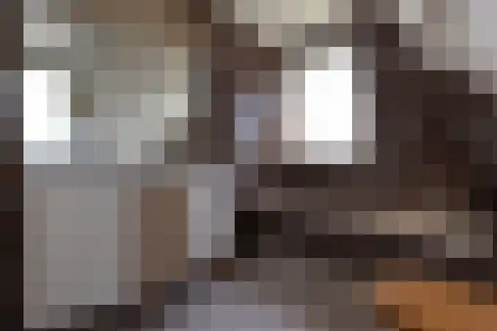 Singel 1 Blaricum thumbnail 45