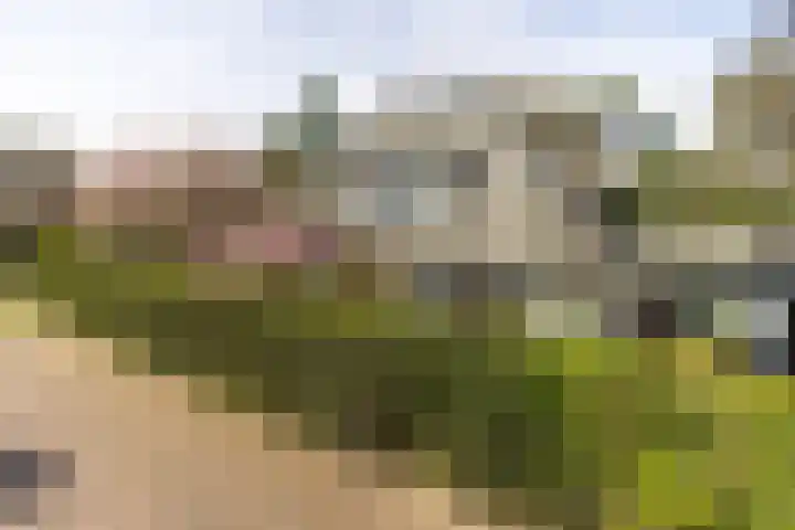 Singel 1 Blaricum thumbnail 55