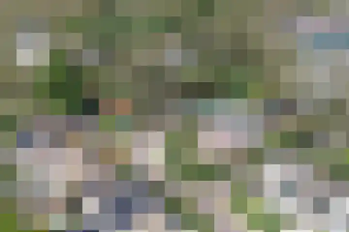 Singel 1 Blaricum thumbnail 56