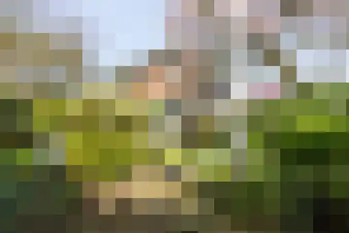 Singel 1 Blaricum thumbnail 58