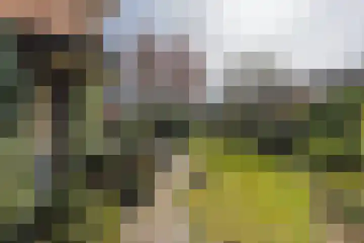 Singel 1 Blaricum thumbnail 59