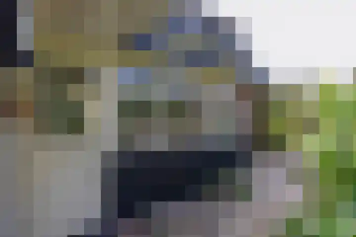 Singel 1 Blaricum thumbnail 61