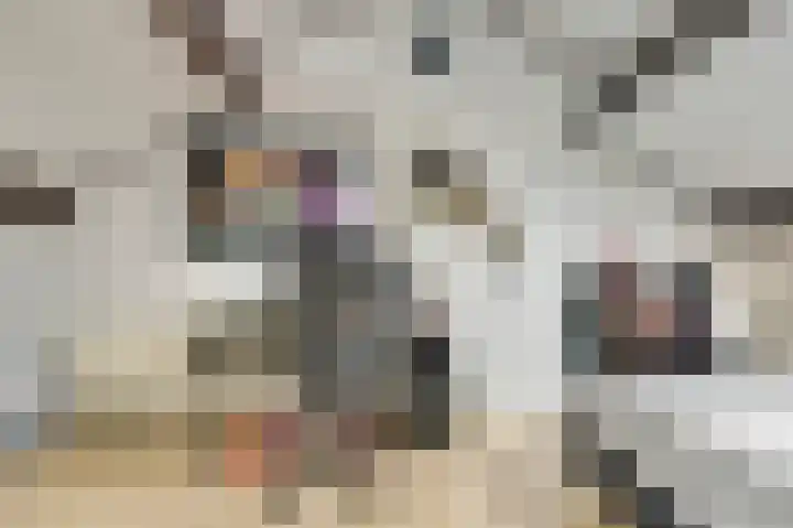 Singel 1 Blaricum thumbnail 62