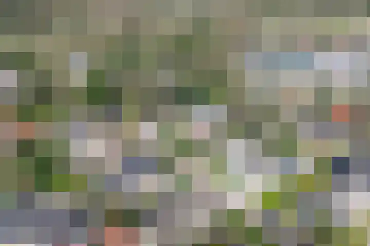 Singel 1 Blaricum thumbnail 62