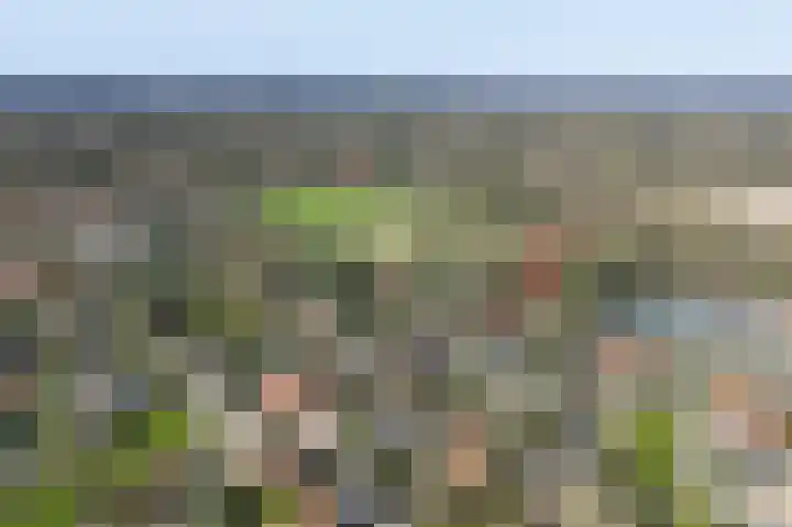 Singel 1 Blaricum thumbnail 63