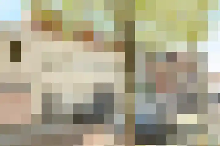 Singel 1 Blaricum thumbnail 64