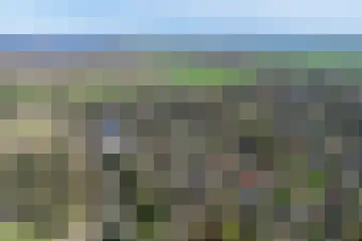 Singel 1 Blaricum thumbnail 64