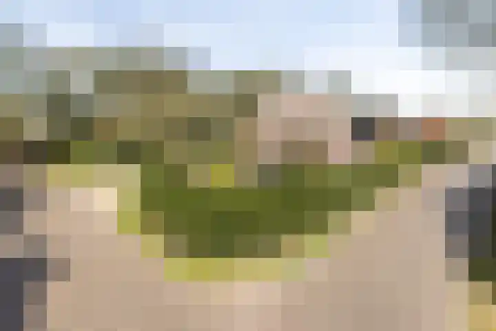 Singel 1 Blaricum thumbnail 65