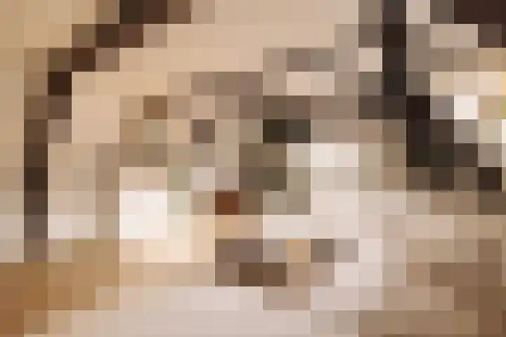 Singel 100 E in Amsterdam