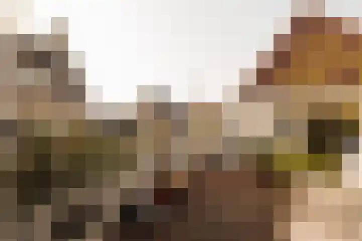 Singel 100 E Amsterdam thumbnail 10