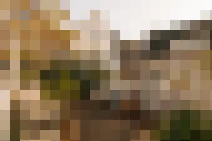 Singel 100 E Amsterdam thumbnail 11