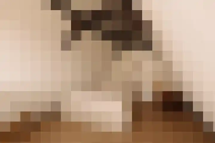 Singel 100 E Amsterdam thumbnail 13