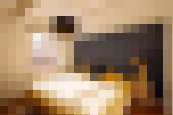 Singel 100 E Amsterdam thumbnail 19