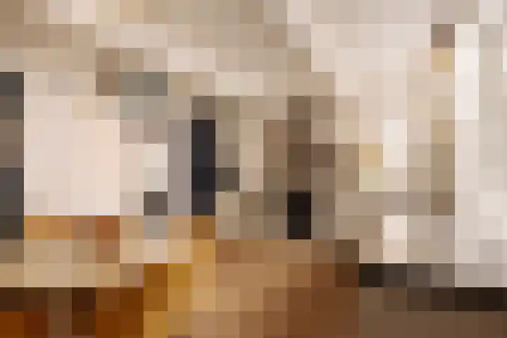 Singel 100 E Amsterdam thumbnail 4