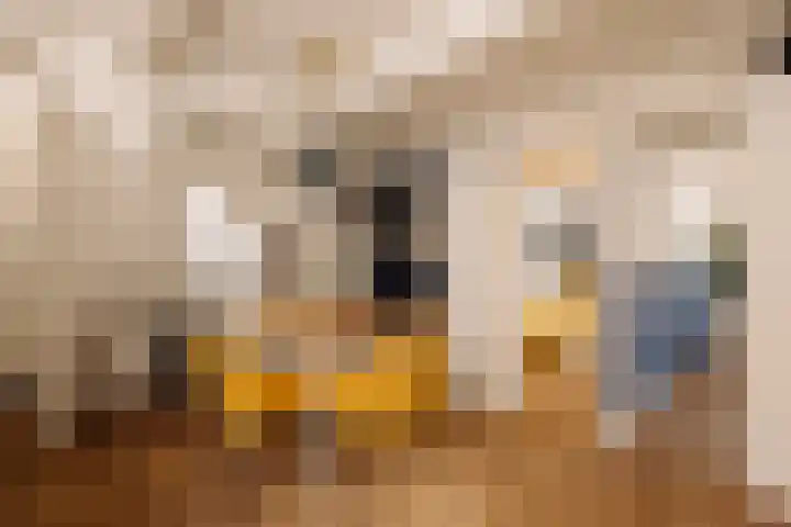 Singel 100 E Amsterdam thumbnail 5