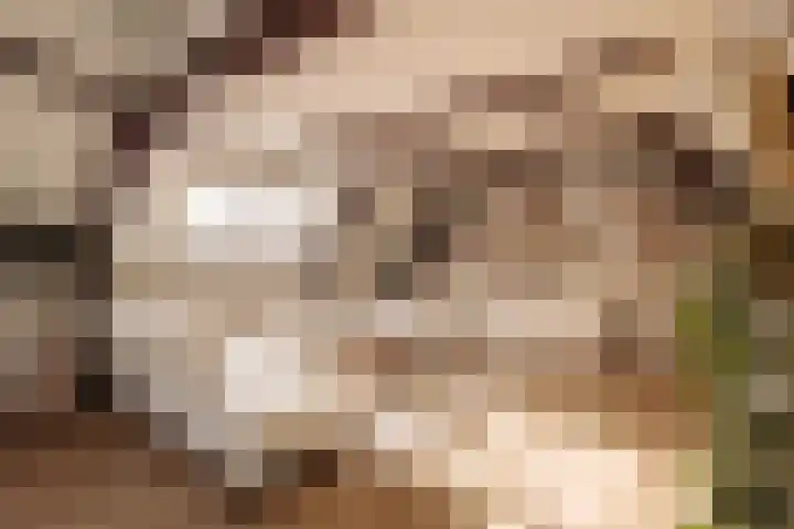 Singel 100 E Amsterdam thumbnail 8