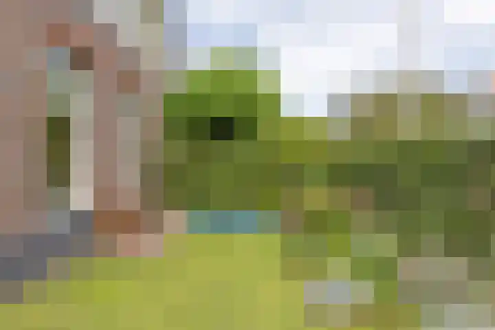 Singel 103 Bussum foto 2