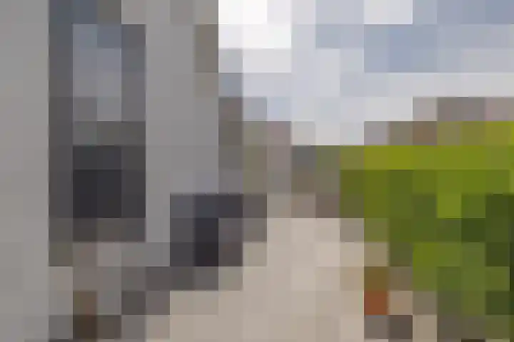 Singel 103 Bussum thumbnail 27