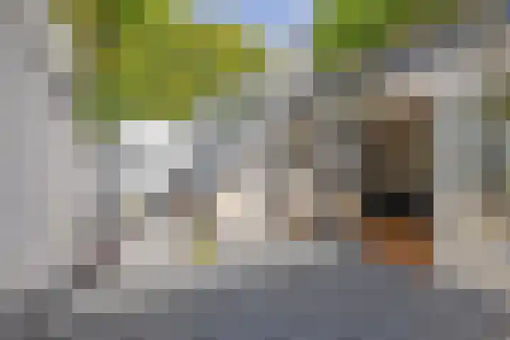 Singel 103 Bussum thumbnail 33