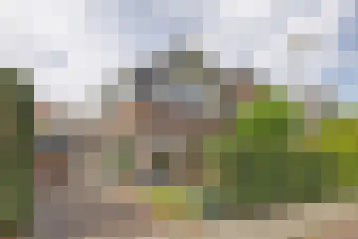 Singel 103 Bussum thumbnail 34