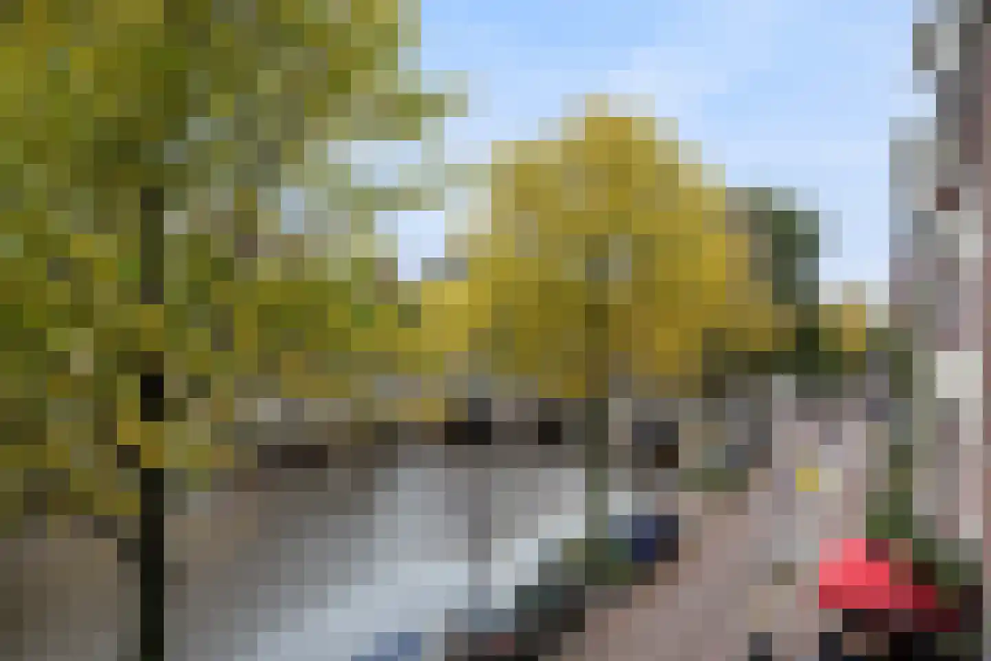 Singel 109 F Amsterdam thumbnail 16