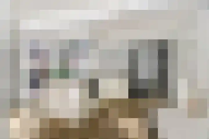 Singel 111 Bussum thumbnail 16