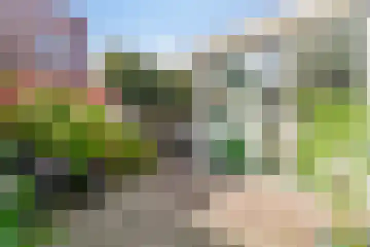 Singel 111 Bussum thumbnail 24