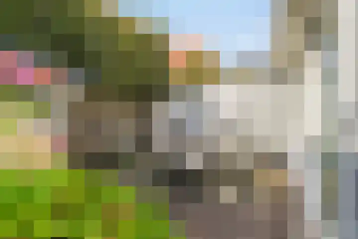 Singel 111 Bussum thumbnail 25