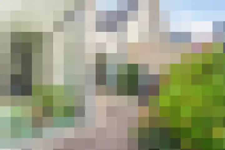 Singel 111 Bussum thumbnail 28
