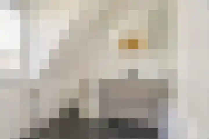 Singel 111 Bussum thumbnail 38