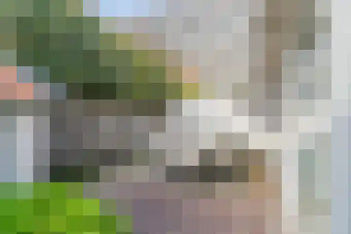 Singel 111 Bussum thumbnail 4