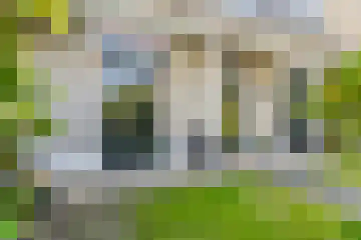 Singel 111 Bussum thumbnail 6