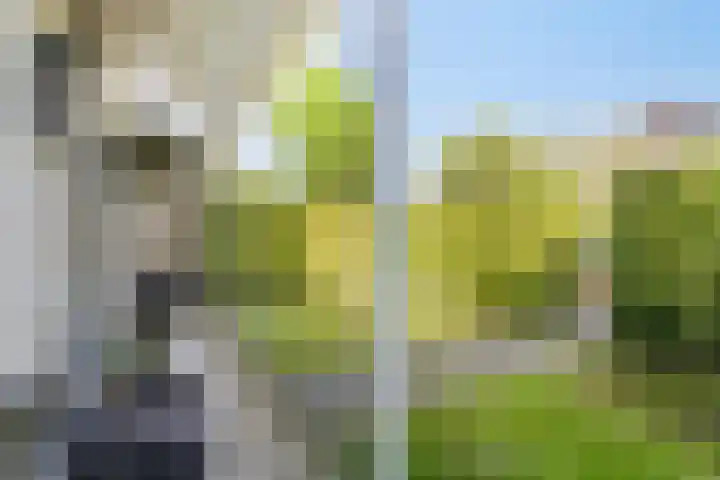 Singel 111 Bussum thumbnail 7