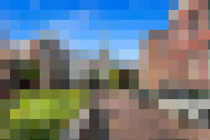 Singel 13 A Schiedam thumbnail 41