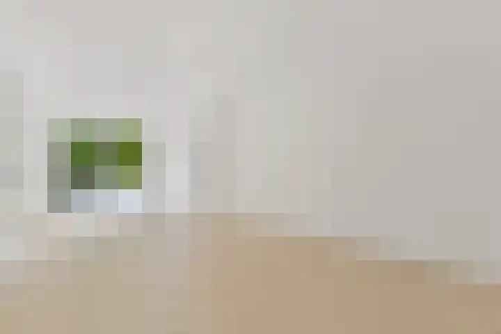 Singel 13 A Schiedam thumbnail 9