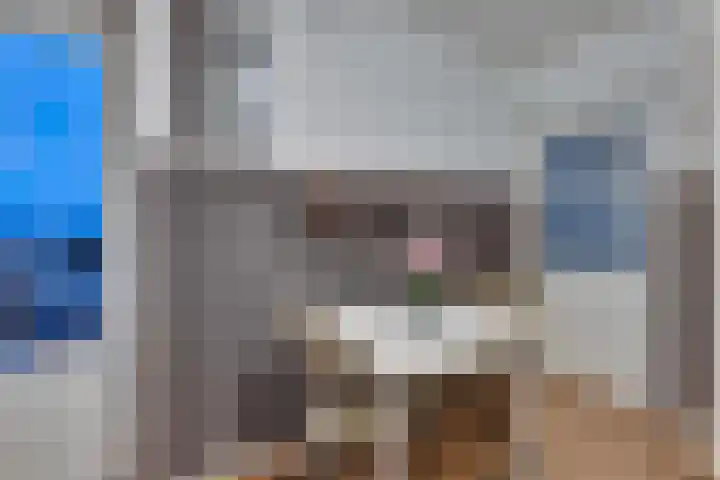 Singel 131 Vlissingen thumbnail 5