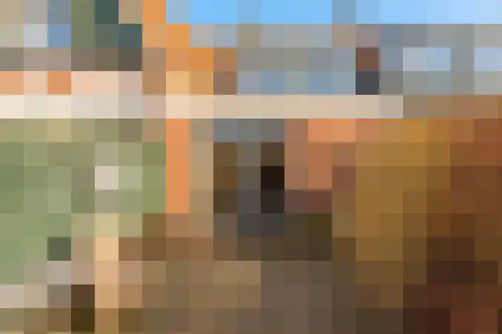 Singel 16 Wijk bij Duurstede thumbnail 19
