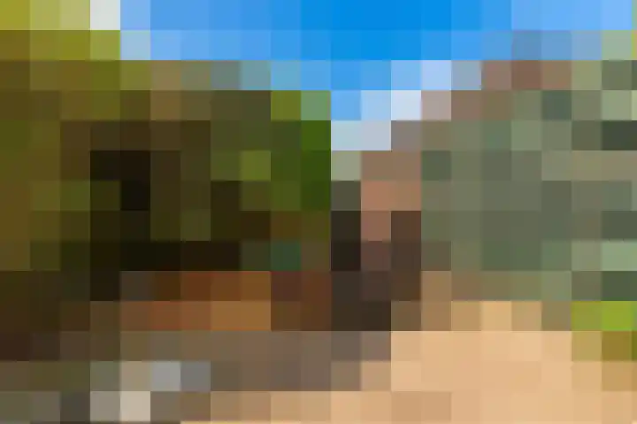 Singel 16 Wijk bij Duurstede thumbnail 20