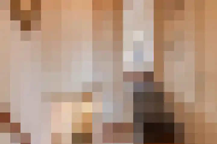 Singel 16 Wijk bij Duurstede thumbnail 27